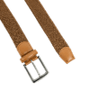 Color Swatch